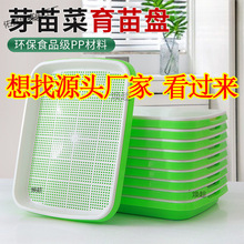 һ����ѿ����P�߲�ˮ��С���Nֲ�㶹������ѿ��P����P�o������