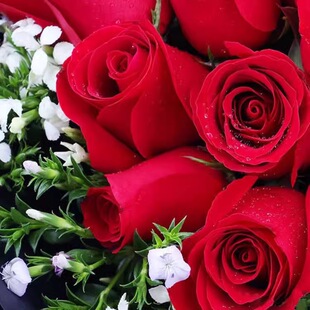 �N�ӷN������ֲ���ɫ�tõ�廨��õ�Nޱ�N�ѷN���S��õ�¼����N��