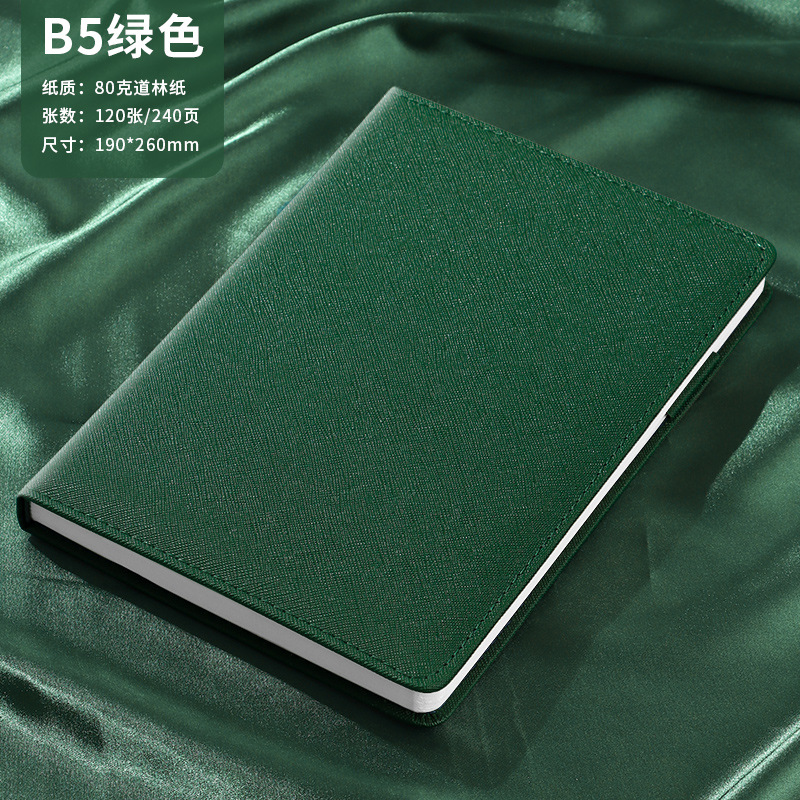 B5 녹색 - 240페이지(버클 + 펜 삽입 없음)