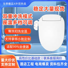智能马桶盖速热式加热妇洗通用家用马桶盖板工厂批发贴牌220V中文