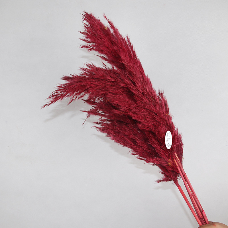 진한 빨간색(5개/묶음)