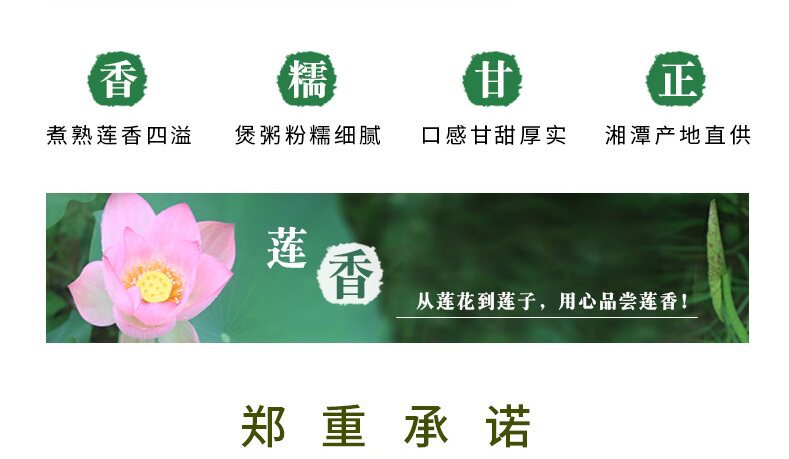 Dried Lotus Seeds with Core Bai Lian Zi 500g Wild White Lotus Seeds for Soup and Tea preparation