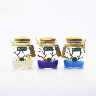 ������΢���^marimo���Bƿˮ��G������ֲ�����沣���Y���S�ƿ