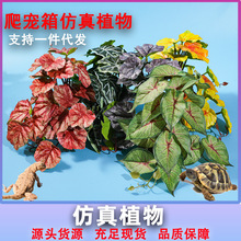 �������쾰�b���ֲ�� ���������������x�b������Gֲ�[���b�