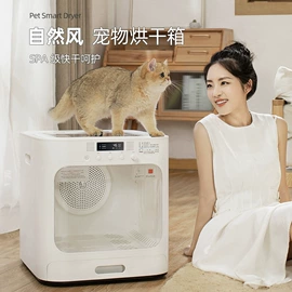 猫猫包、箱;猫猫玩具;猫厕所