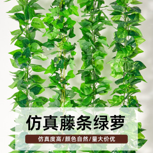 ���Ϸ���Gֲ�����{���b������������~�ӵ�����Ѽ������ٗl