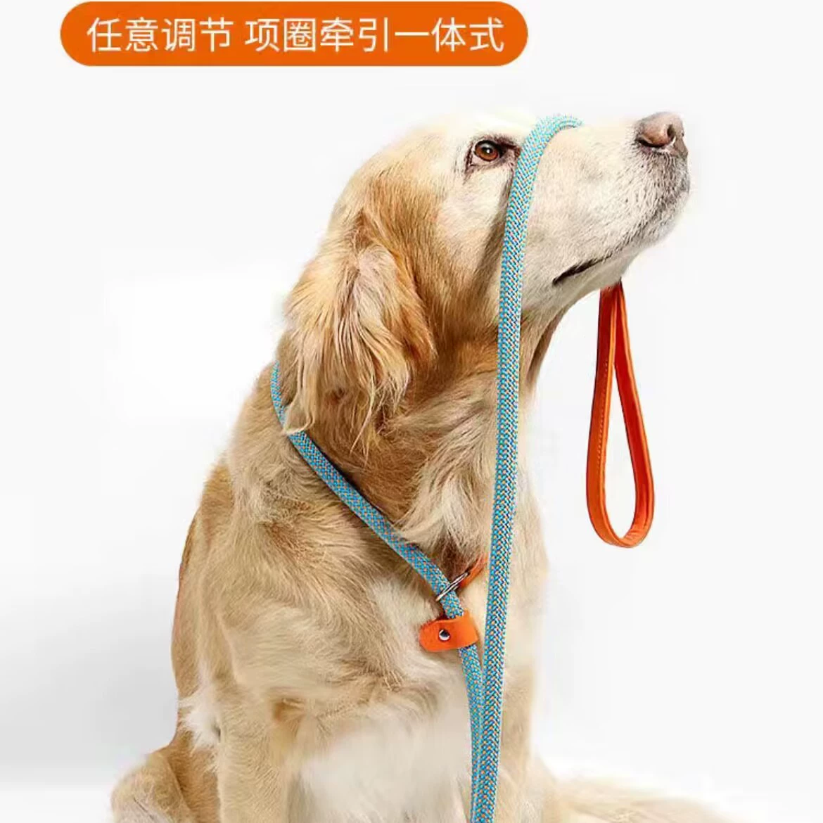 Уровень соревнований домашняя собака P веревка профессиональная веревка для дрессировки собак, сопровождающая тонкое кольцо на шею P цепь прогулочная собака Тяговый канат воротник соревновательная веревка