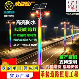 道路照明灯;景观灯;太阳能灯