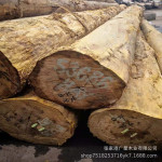现货批发黄硬木原木黄檀木黄胆木户外硬木木头垫木古建筑地板木料
