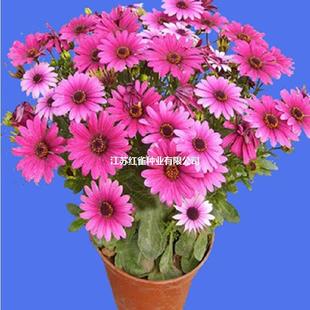 ���l �f�۾շN���҃����׻��Ѿջ��N���������ܲ���