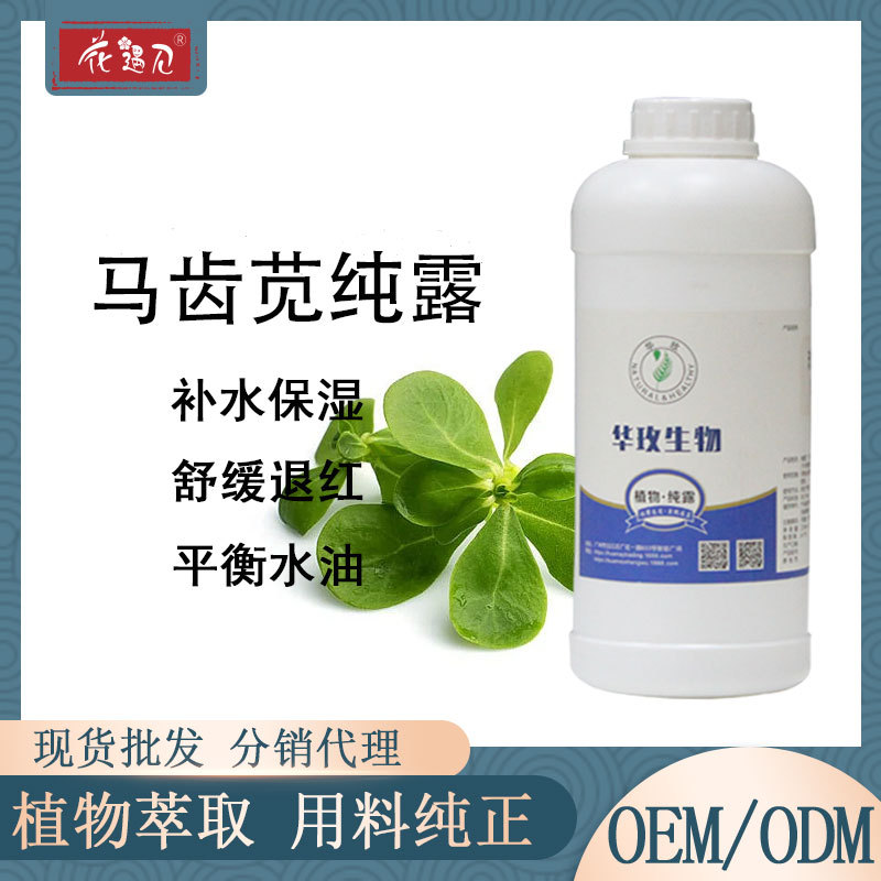 马齿苋纯露植物纯露补水保湿 净化肌肤 护肤品原料批发湿敷水蒸馏