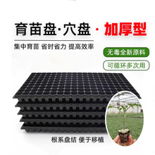 育苗盘穴盘育苗盆种植塑料秧盘营养钵育苗器托盘扦插育种多肉专用
