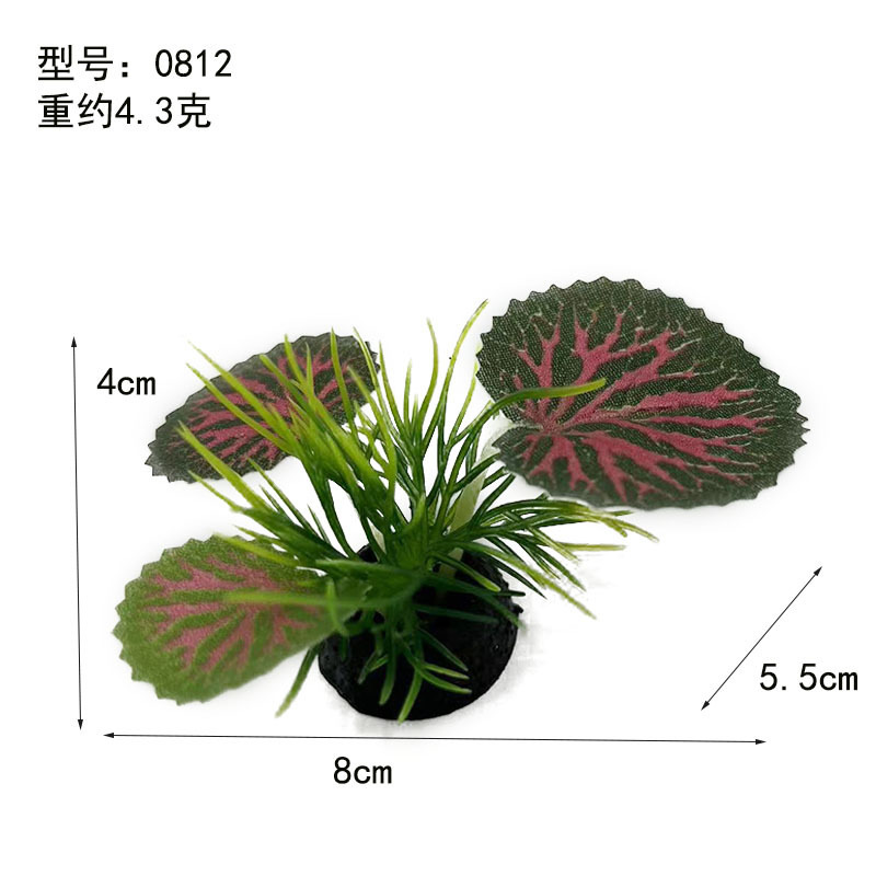 Green Edge Red Leaf plantas acuáticas (tamaño pequeño)