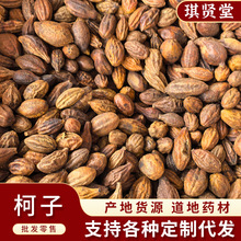 ���� ��ș�� �X���ա�������������X�桢���΢ë�X�����l