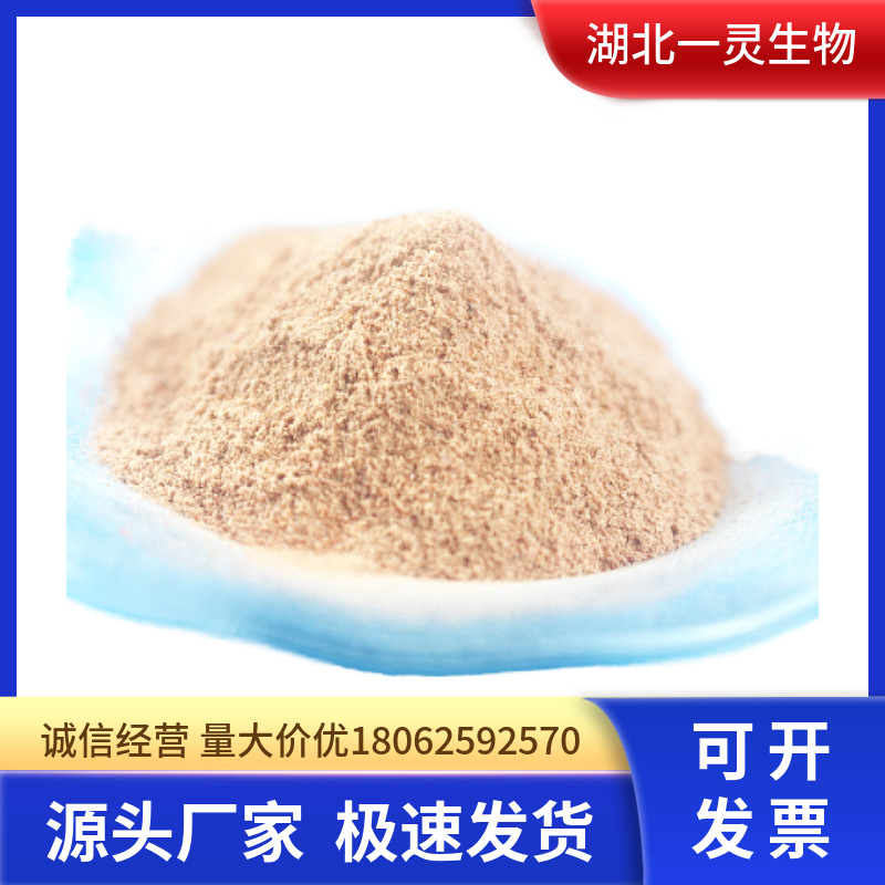 2,6-二氯-3-硝基吡啶 CAS:16013-85-7 厂家直销 品质保障 发货快