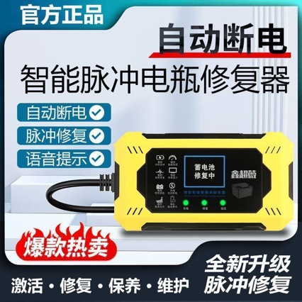 Electric vehicle power protector intelligent pulse battery repair period