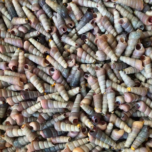 ���l����ʳ�������� ���F������������Ó�֭ʳ��ԭ�Ϲ�������