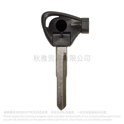 Embryo with Magnet, Motorcycle Key - b-left-black
