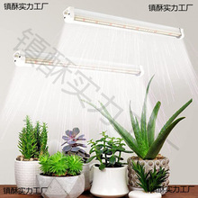 T5ֲ��� T5�o�۹�ֲ����� ����ֲ���a��� ���ﻨ��ledֲ�����