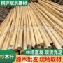 去皮园林打桩绿化原木