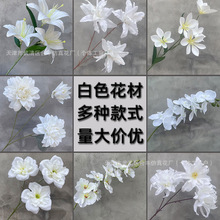 ��ɫϵ�ٻ���c�û������廨��Y·�����Ű׻��ļٻ���Y����