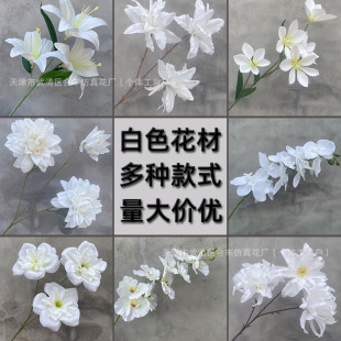 ��ɫϵ�ٻ���c�û������廨��Y·�����Ű׻��ļٻ���Y����
