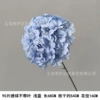 Single large hydrangea 90 leaves without leafless blue blue