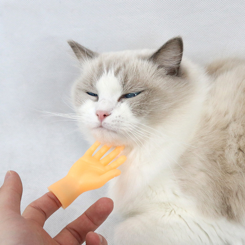 Same item His cat Finger interest Finger His cat glove interaction Toys Manufactor wholesale