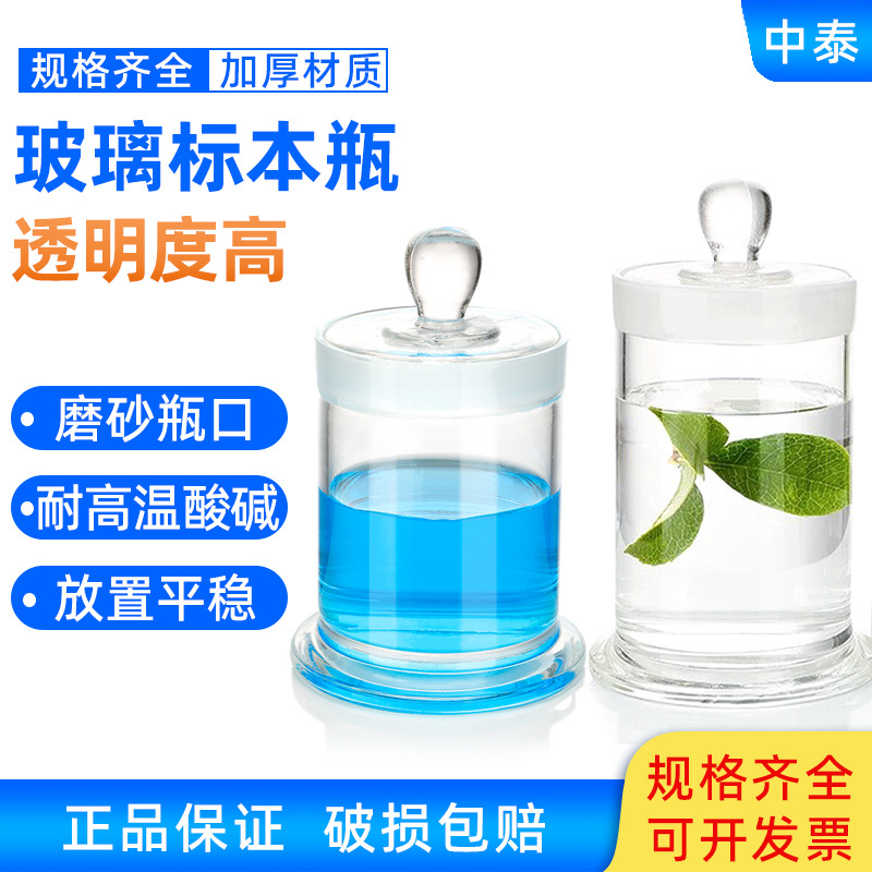 玻璃标本瓶 高清透明标本缸 磨砂玻盖 展示瓶 样品瓶 样品瓶