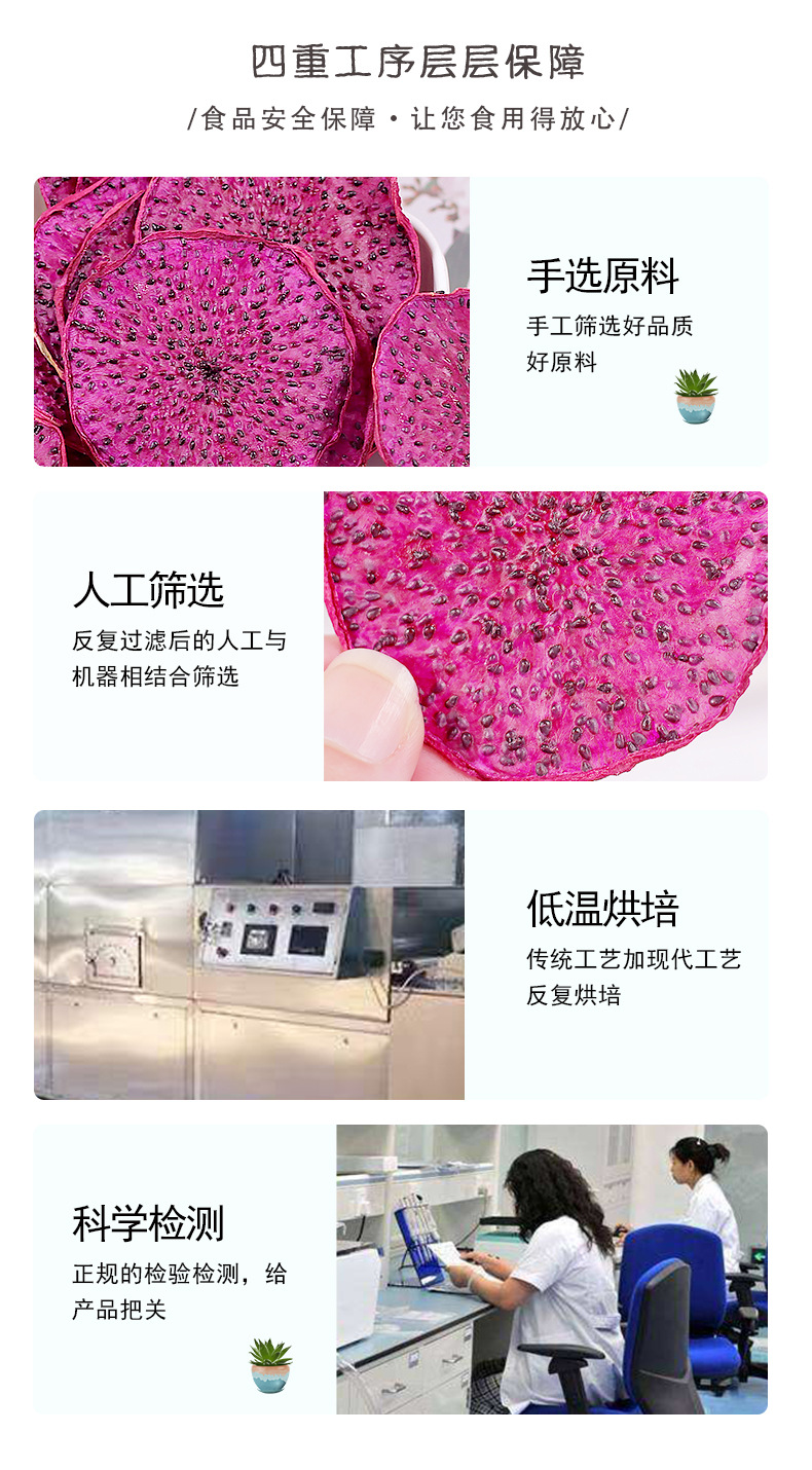 Freeze-Dried Red Dragon Fruit Slices Hong Long Guo 50g Sweet Tropical Dried Fruit Herbal Tea quality and texture