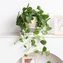 ���Gֲ�������҃�С�~�y�߸��ٴ����L���~��������ȩ�^�~ֲ��G�}