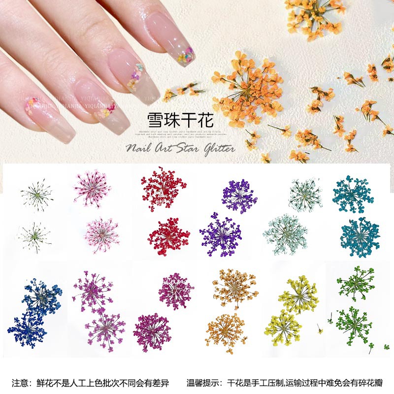 干花美甲盒装饰品网红日系天然雪珠花满天星小碎花指甲装饰品12色