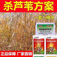 杀芦苇除芦苇烂根剂牛筋草阔叶杂草连根烂根除草除草剂禾本科草