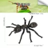 PL127-2236 Black Ant