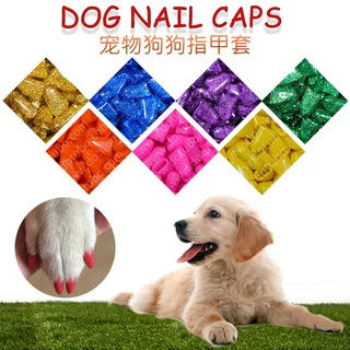 Dog Nail Caps宠物指甲套狗狗防抓带胶水20/包亚马逊wish TEMU TK