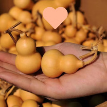 ���J���]����������С���J���lС���ְѼ���Ȼ���J�������