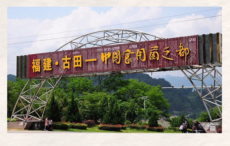 红豆本草银耳羹1_04