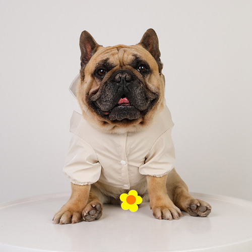 Pet Candy Raincoat French Dou Teddy Outdoor Waterproof Clothes PU Double Layer Rainproof and Leakproof Dog Clothing Poncho for Going Out