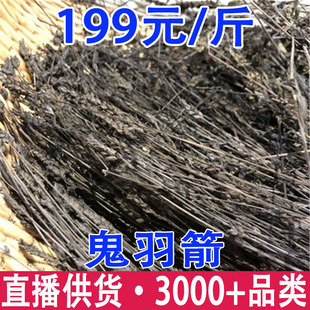 �ڲ� ���R�� ����� ����� �ڹǲ����l���l