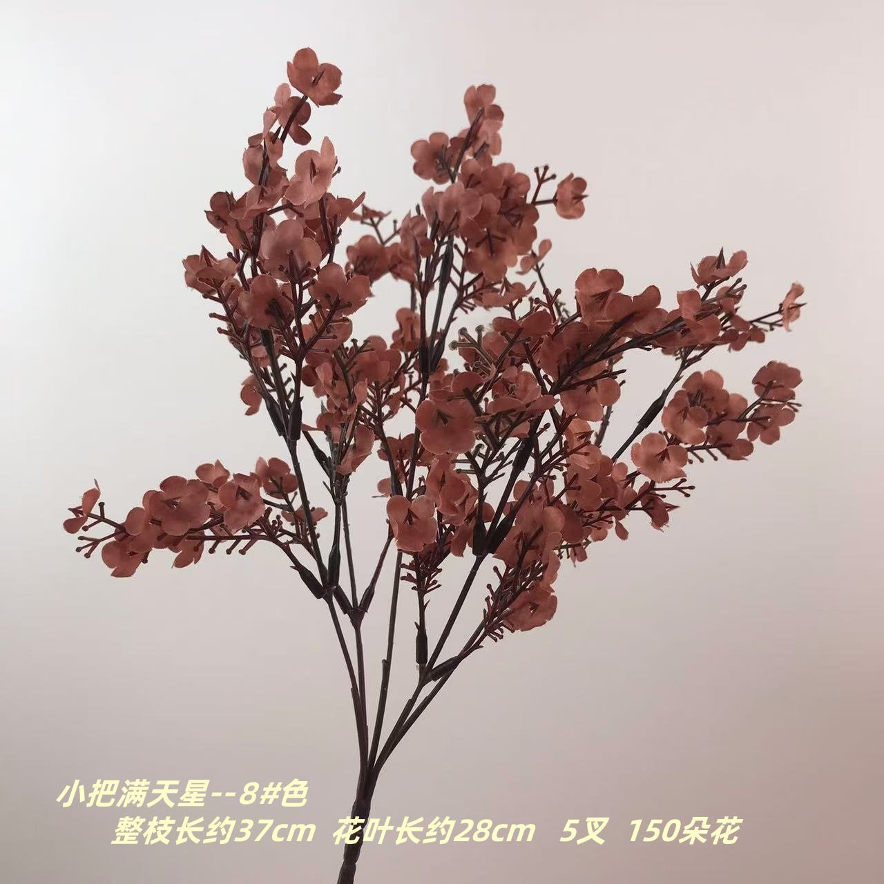 작은 안개꽃 8#색깔