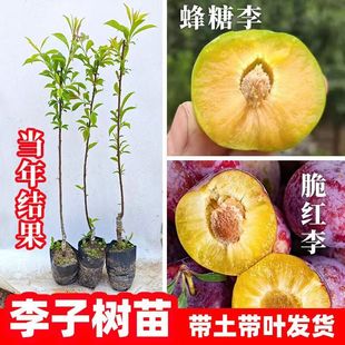 �������Ә���޽��ش�����Ó��������ӹ������ϱ����N���A�����