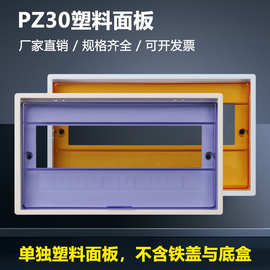 PZ30配电箱塑料面板面罩继电器透明保护盖照明回路电箱盖黄色蓝色
