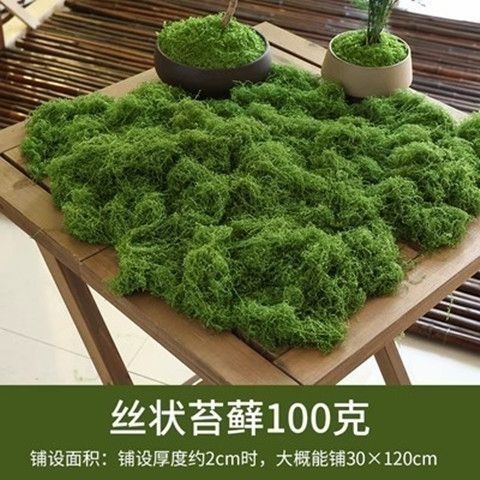 羊毛造景掉色不植物墙水陆缸假山石头仿真苔藓青苔缸藓园林雨淋|undefined