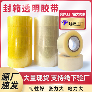 �������l���͸�����S�z����5.5cm���b�������z������z���z��