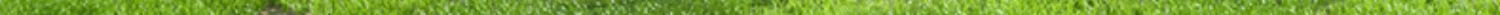 Outdoor Mesh Camping Tent, Canopy for Multiple People, Beach Camping, Picnic Cooking Tent, Portable Beach Sunshade