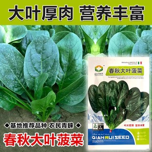 ���~���˷N���ļ��߲˶����ѷN����N���ͺ��˷N���Բ����ݲ�����