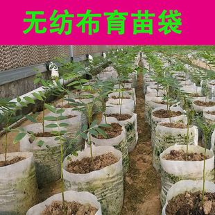 �o�����������픠I�Bֲ�����Ӻ񱭷Nֲ�̨����