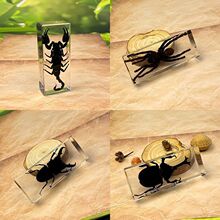 �挍���x�˱�͸����֬����С�[���׃��@�̌W�^�����ϐ��֩����x