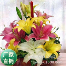 ���l��ˮ�ٺϻ��N��ѿ�t�׷��Sɫ�ٺ������Ի��طNֲ���󃞻�