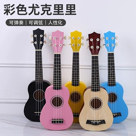 弹拨类乐器;乐器配件;乐器箱包